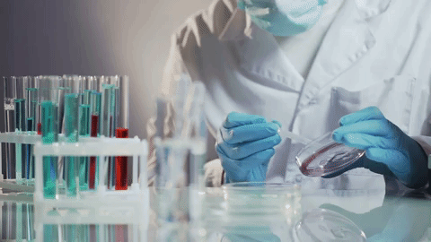 Administrative Changes to Guidance Document on Regulatory Requirements for DINs