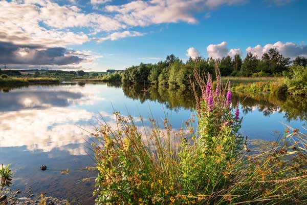 Guide to the Environmental Risk Management Authorities Under FDAd for CAS RN 25155-23-1